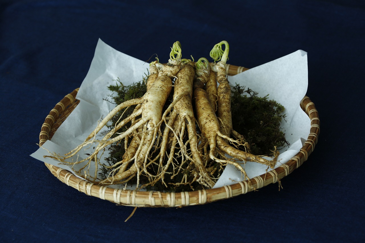 ginseng, medicine, ginseng-3404958.jpg